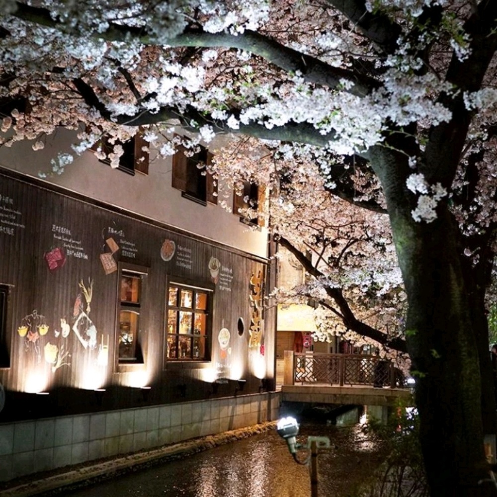 Meet your Posher, blake